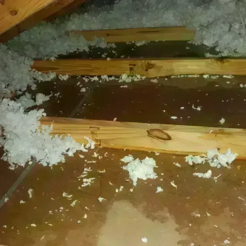 Attic Water Damage in Nitro, WV